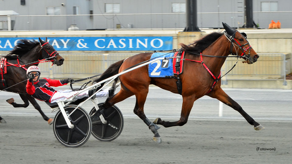 Monarch winning at Harrington Raceway