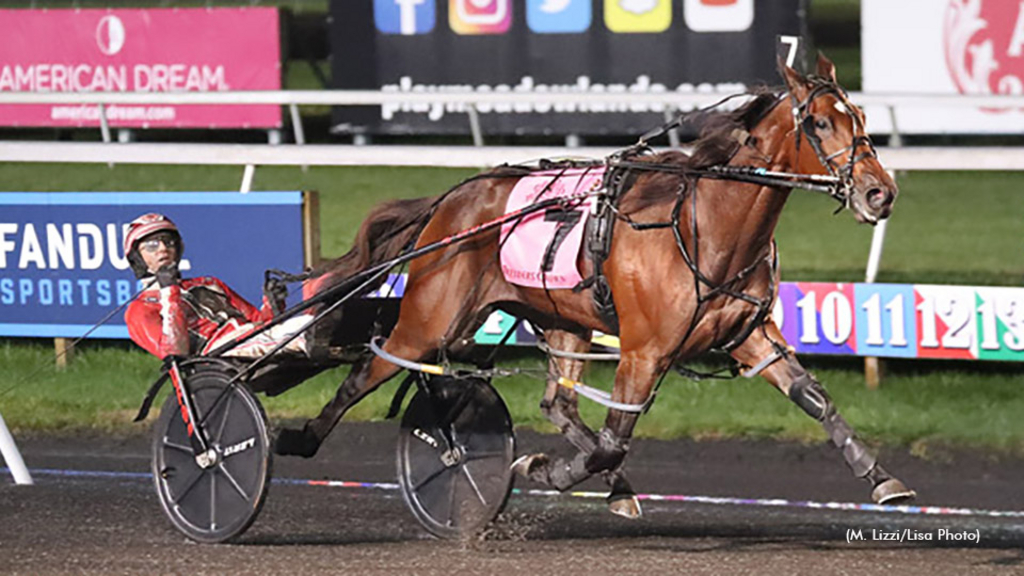 Niki Hill winning the Breeders Crown