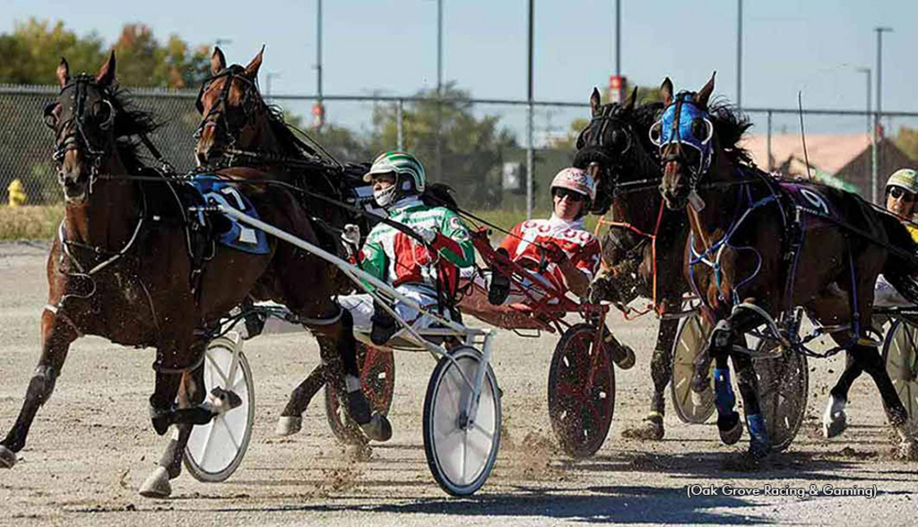 Harness racing at Oak Grove