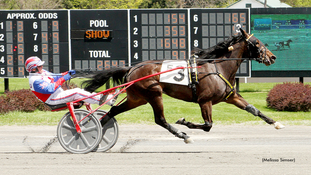 Perfect Vixen winning at Saratoga