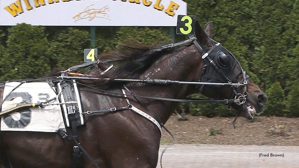 Prairie Panther winning at Tioga Downs