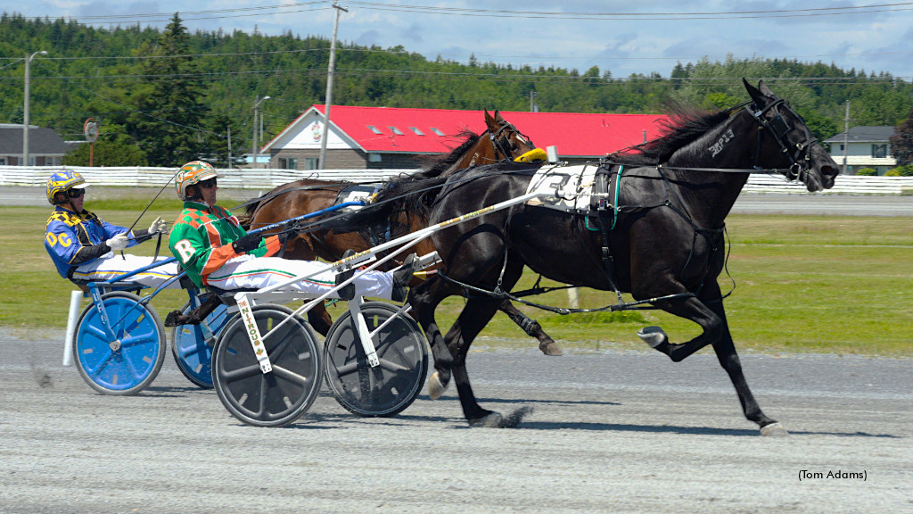 Racing action at Exhibition Park Raceway