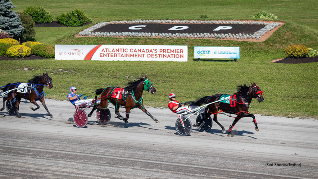 Harness racing at Charlottetown Driving Park