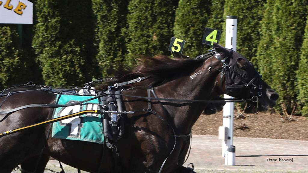 Sea Shadows winning at Tioga Downs