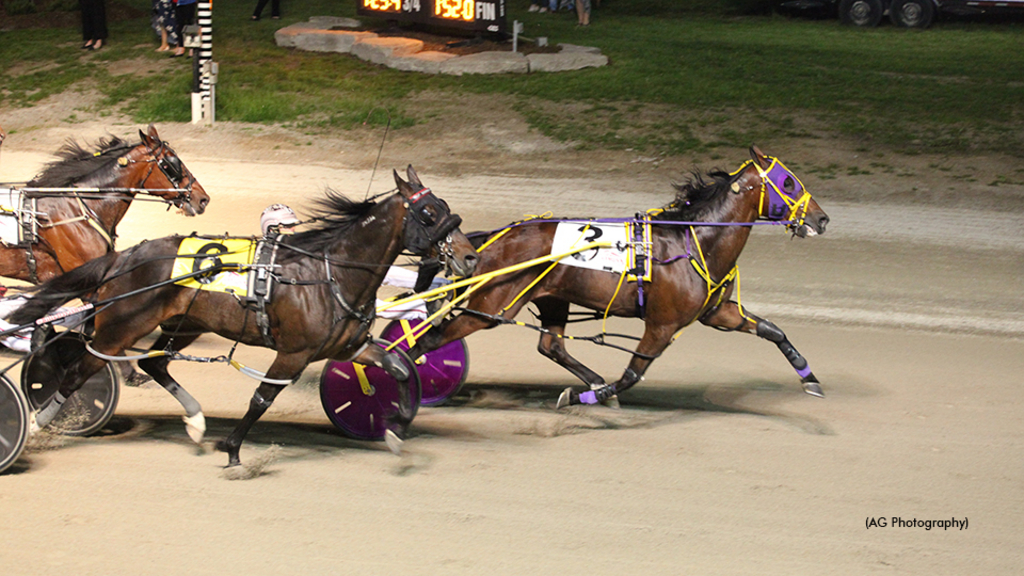 The Wall winning the 2019 Camluck Classic