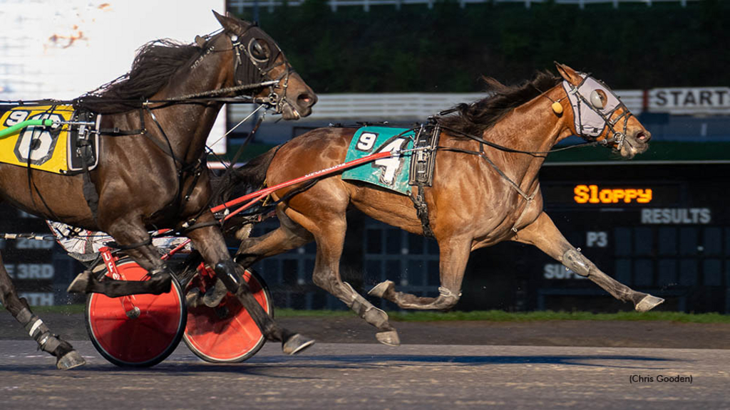 Tough Muscle winning at The Meadows