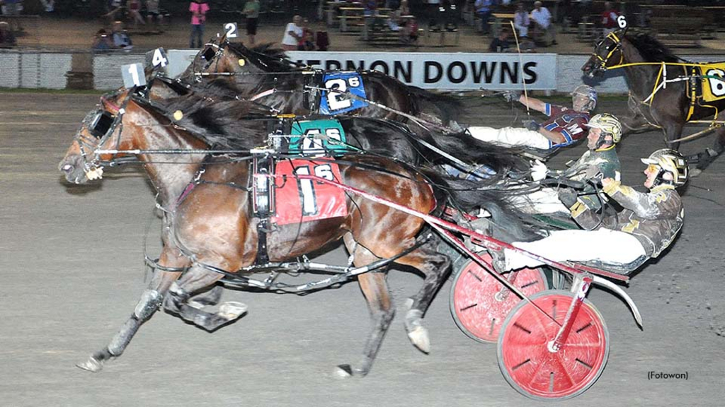 Harness racing at Vernon Downs