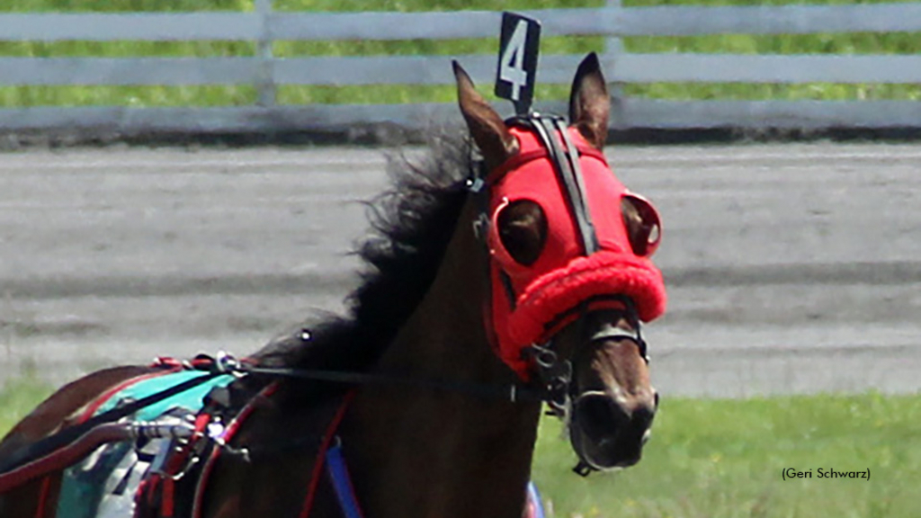 American Ticket winning at Monticello Raceway