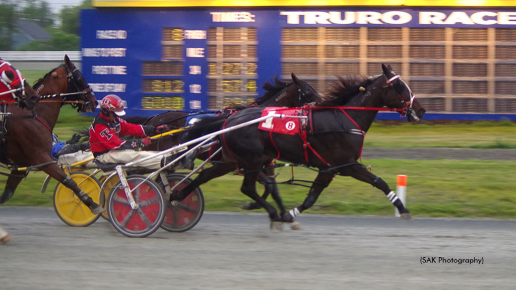 Bettim Again winning at Truro Raceway