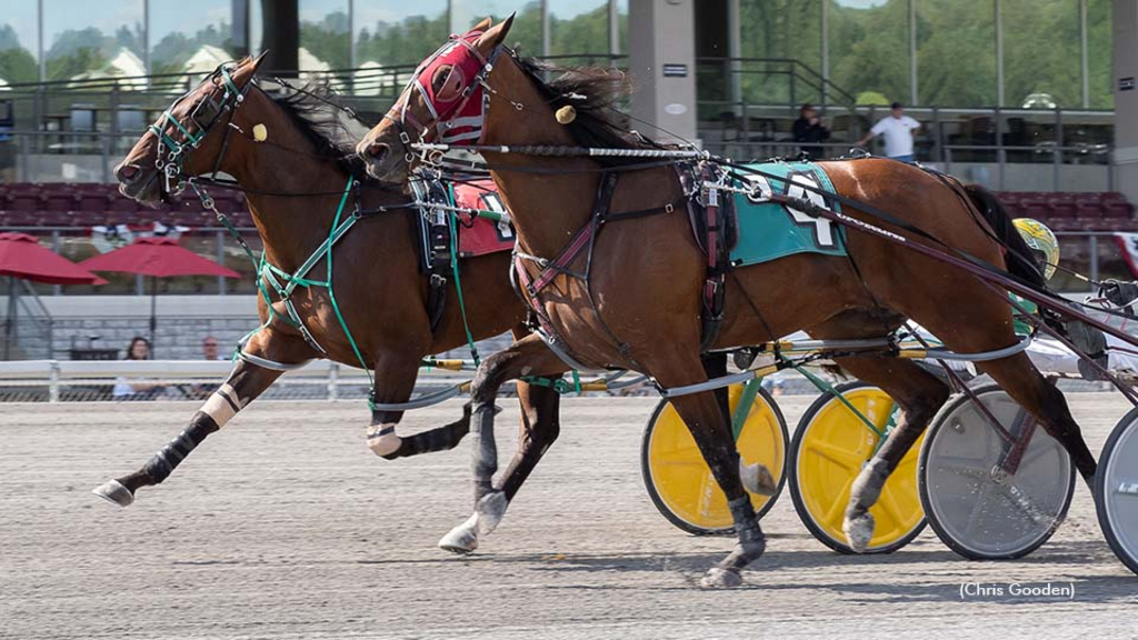 Captain Cowgirl winning at The Meadows