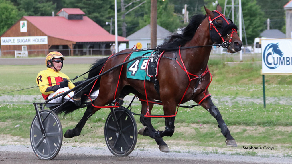 Captain Nash winning at First Tracks Cumberland