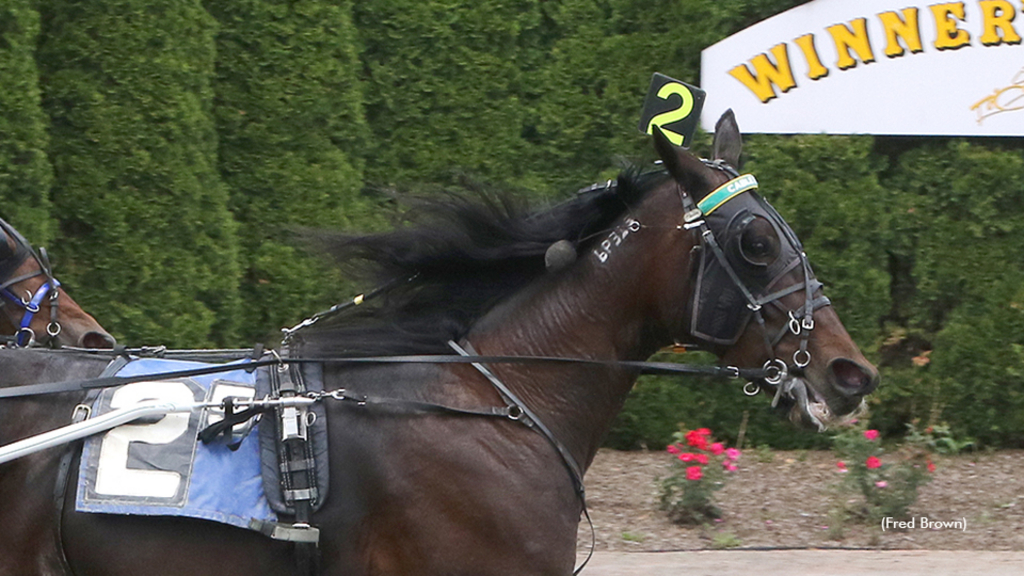 Creekside Pete winning at Tioga Downs