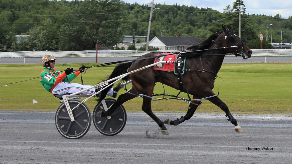 Dustylanegoliath winning the 2021 Barrieau-McIsaac Stakes