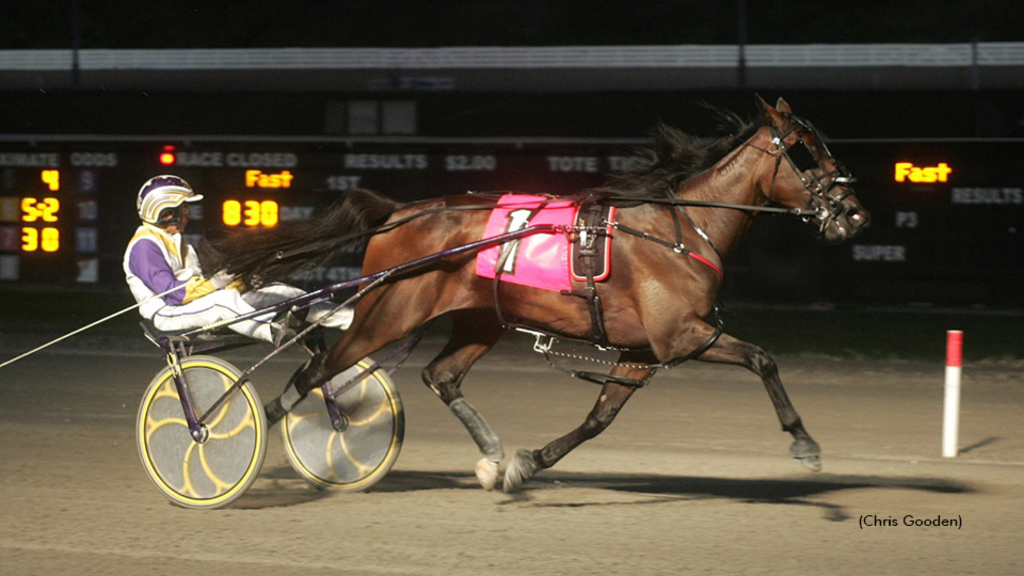 Fashion Athena, dam of Fashion Annie, winning at The Meadows