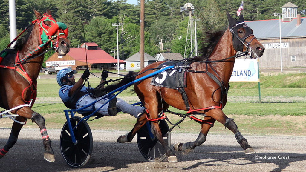 Hespoisedtopounce A winning at First Tracks Cumberland