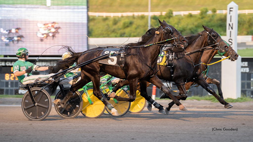 Icanflylikeanangel winning at The Meadows