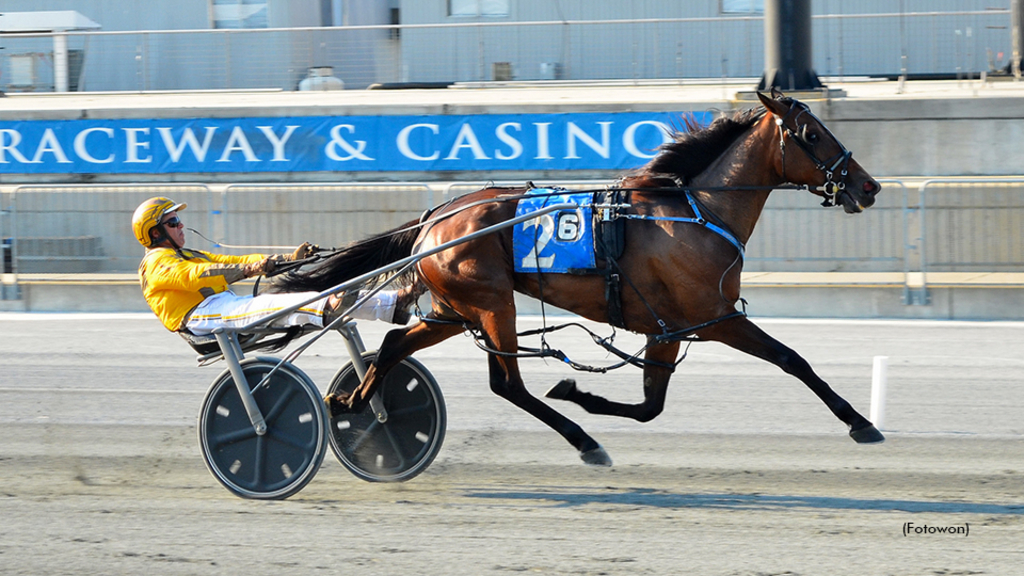 Incaseyoudidntknow winning at Harrington Raceway in a track record performance