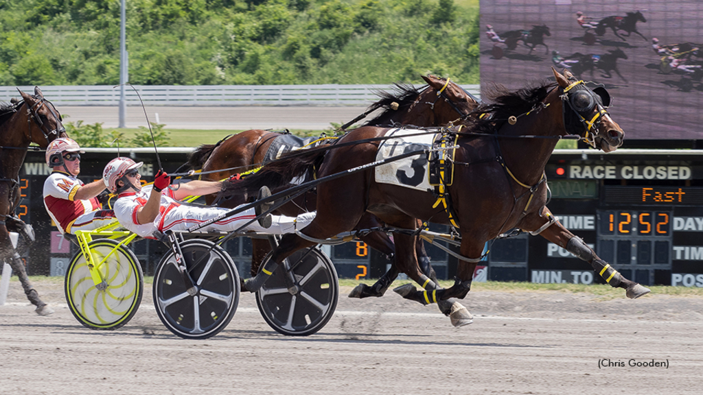 Lady Newton winning at The Meadows