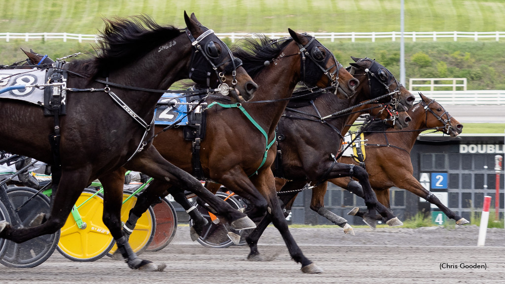 Racing action at The Meadows