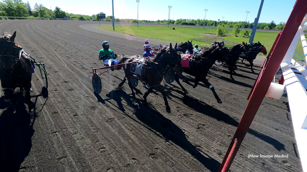 Qualifying races at Woodbine Mohawk Park