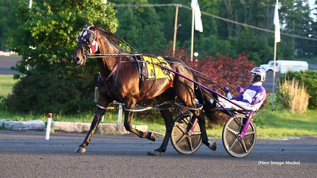 Night Hawk post parading for the North America Cup eliminations