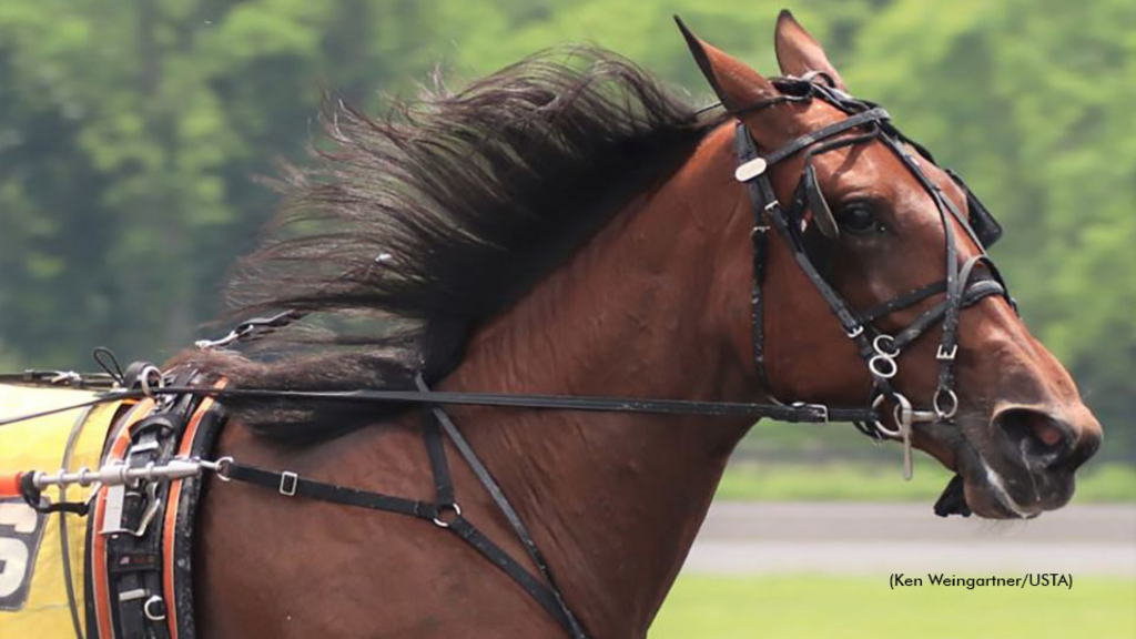 Prideful qualifying at Gaitway Farm