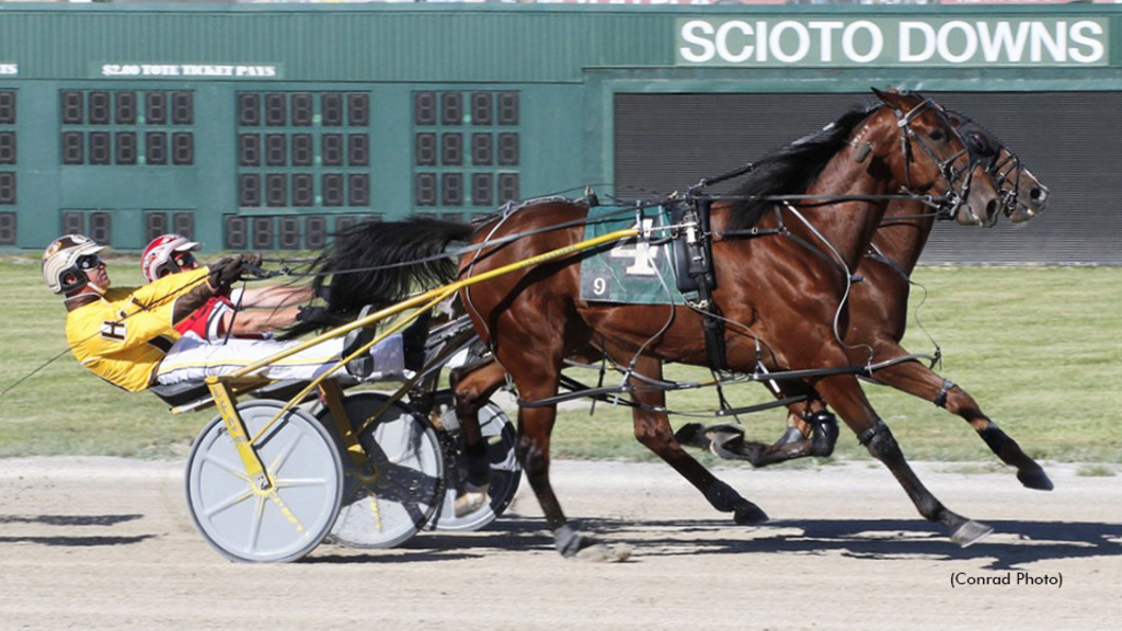 Rose Run Ulysses and Later Dudes in a dead heat at Scioto Downs