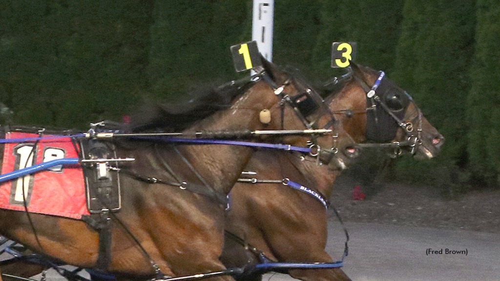 Stellenbosch winning at Tioga Downs