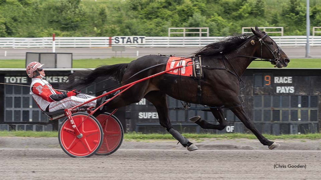 Tequila Talkin winning at The Meadows