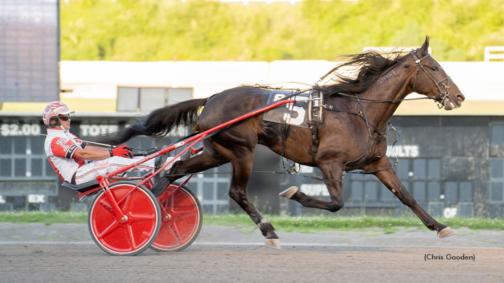 Tequila Talkin winning at The Meadows