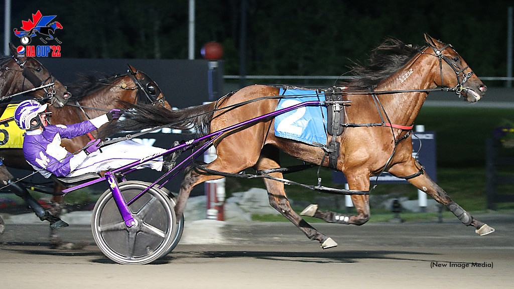 Test Of Faith Fabulous In Roses Are Red | Standardbred Canada