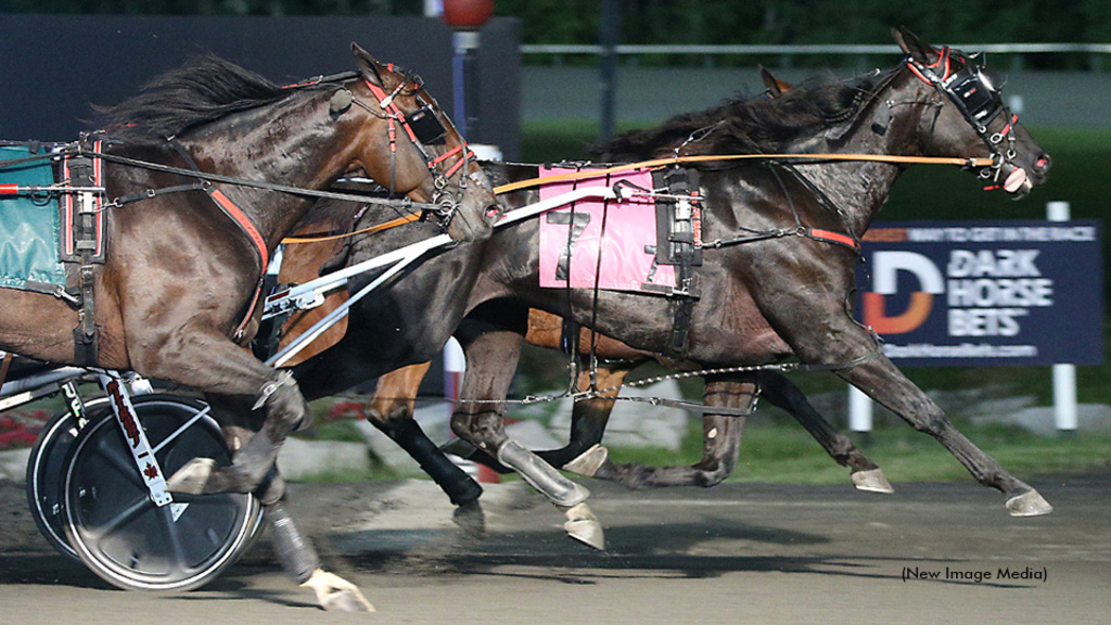Twin B Archie winning his Goodtimes elimination at Woodbine Mohawk Park