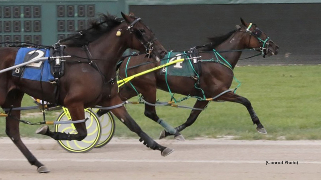 Allnight Micki winning at Scioto Downs