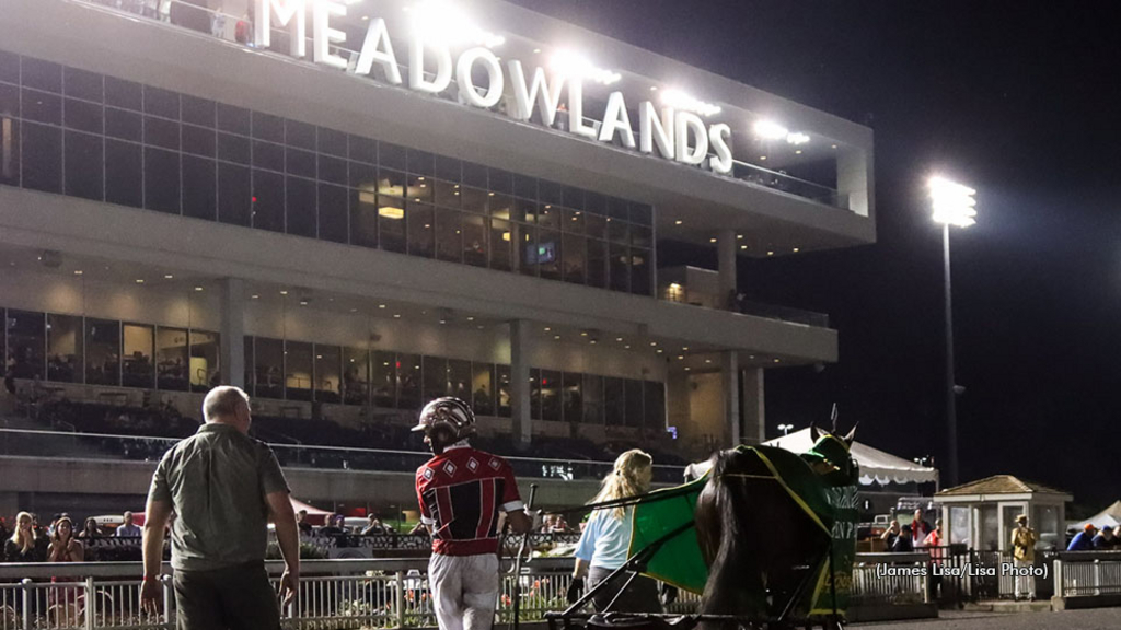 Bulldog Hanover under the lights at The Meadowlands