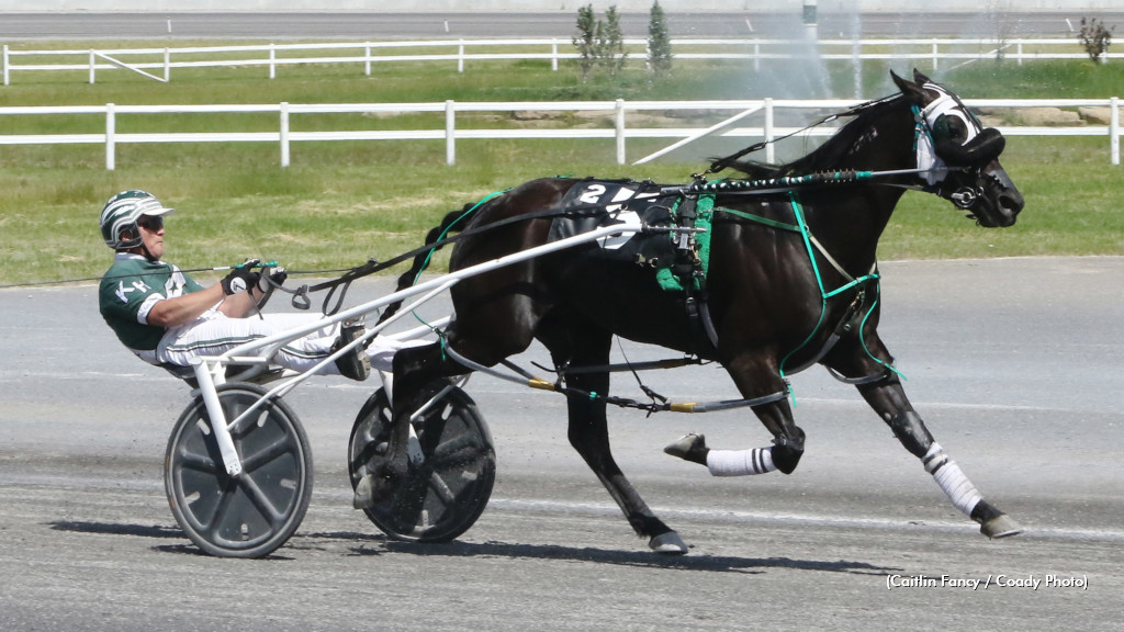 Codename Cigar Box, winning at Century Downs