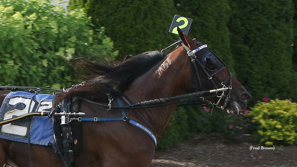 Dont Chip Me winning at Tioga Downs