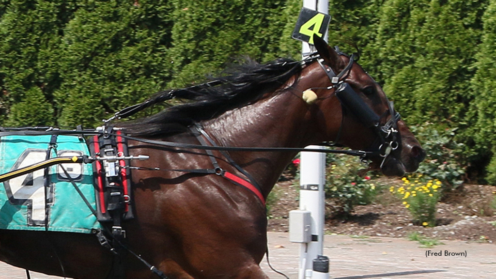 Gotthegreenlight winning at Tioga Downs