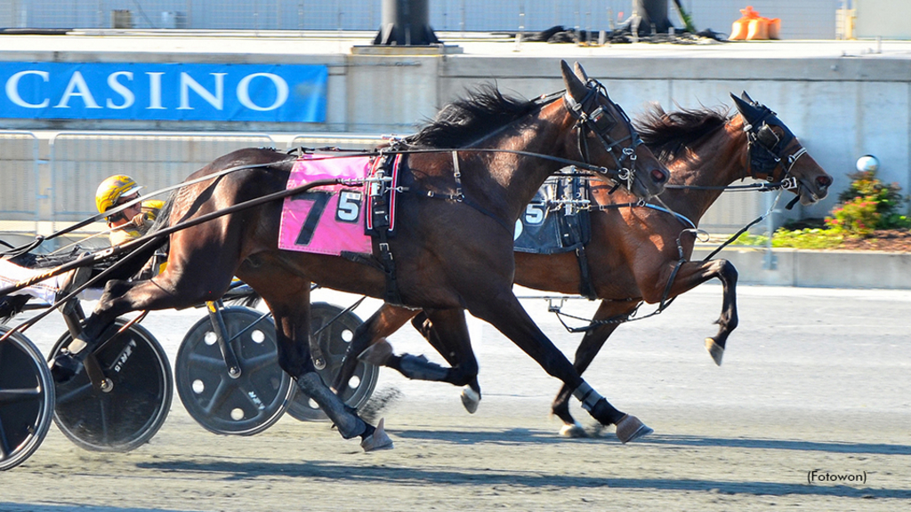 LGs Reed O Wen winning at Harrington Raceway