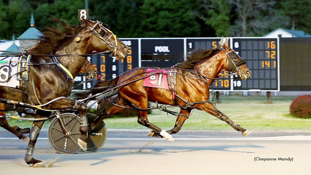 Nuttin But Finesse winning at Saratoga Raceway