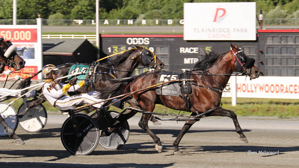 Harness racing at Plainridge Park