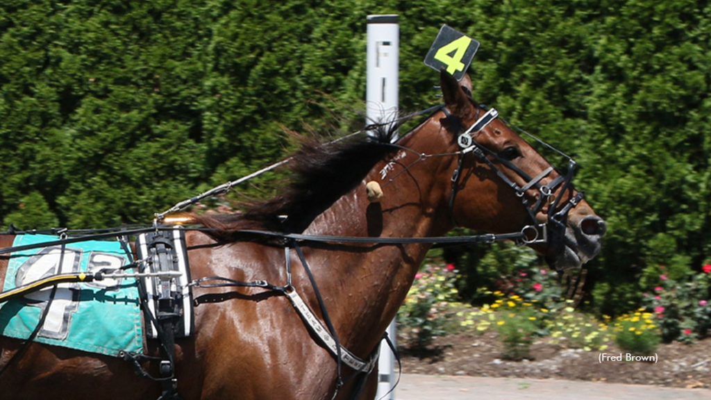 Rebellious winning at Tioga Downs