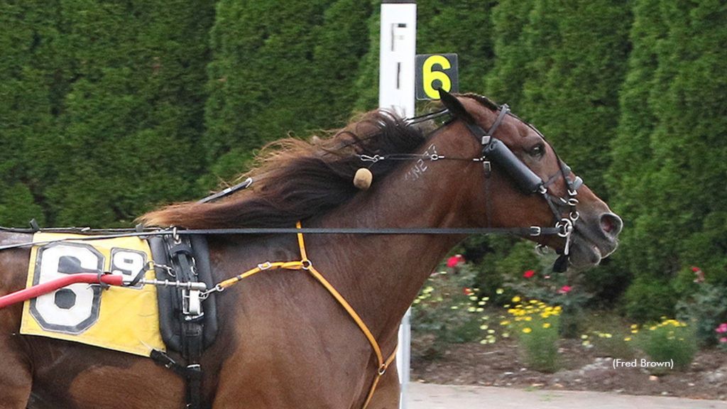 Rich And Miserable winning at Tioga Downs