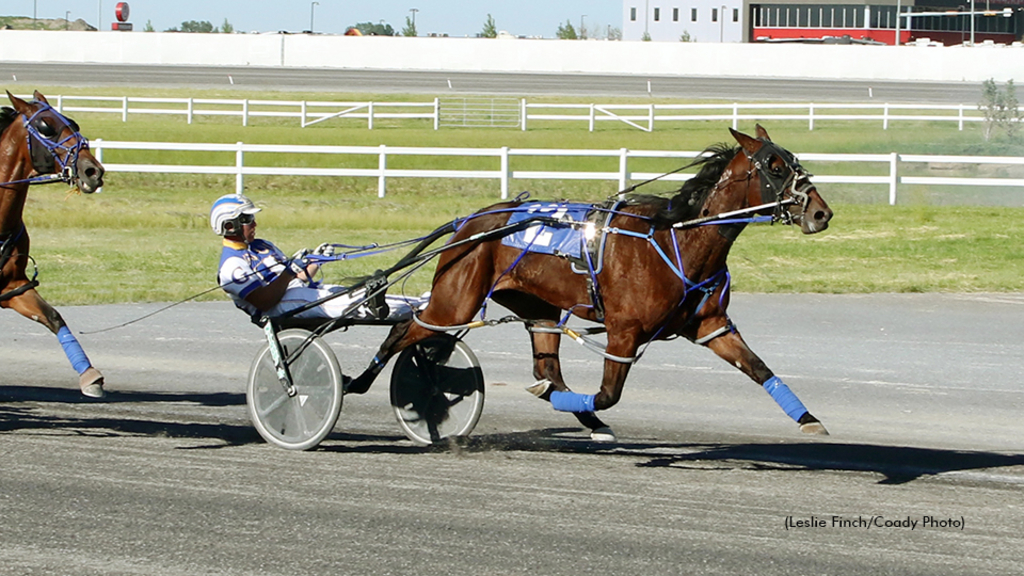 Stash The Cookies winning at Century Downs