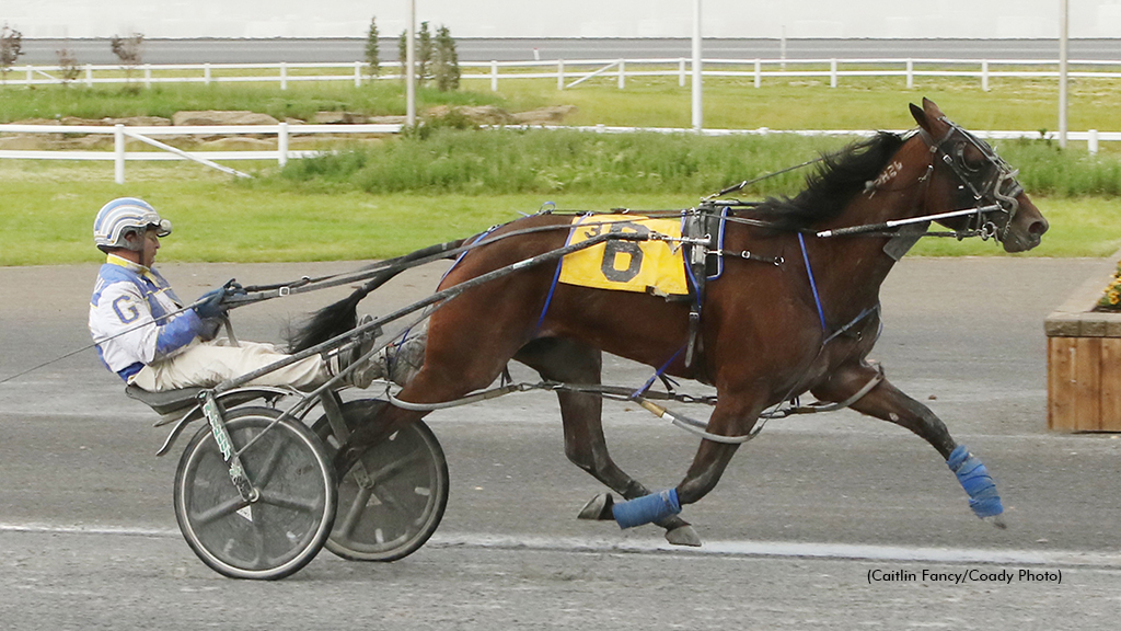 Stash The Cookies winning at Century Downs