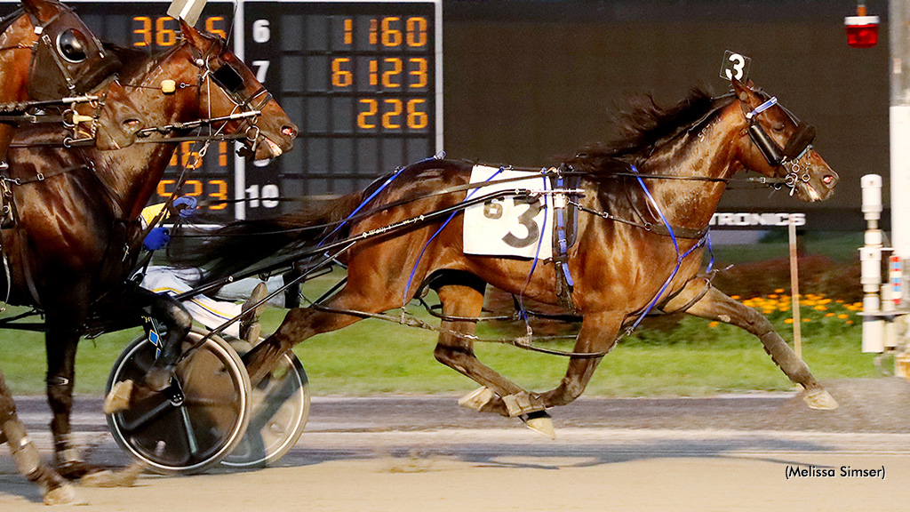 Tattoo Artist Prevails In Gerrity Standardbred Canada