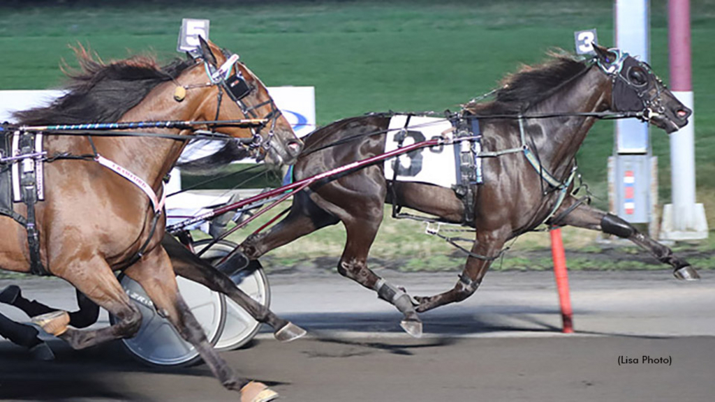 Una Madonna winning at The Meadowlands