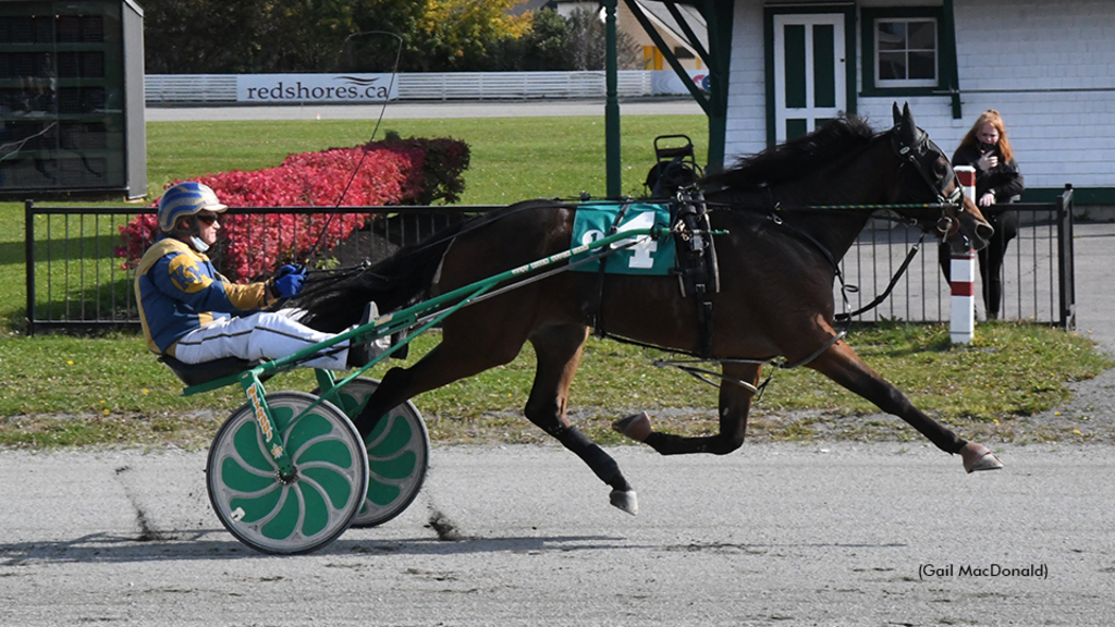 Up Helly AA winning the 2021 Atlantic Breeders Crown