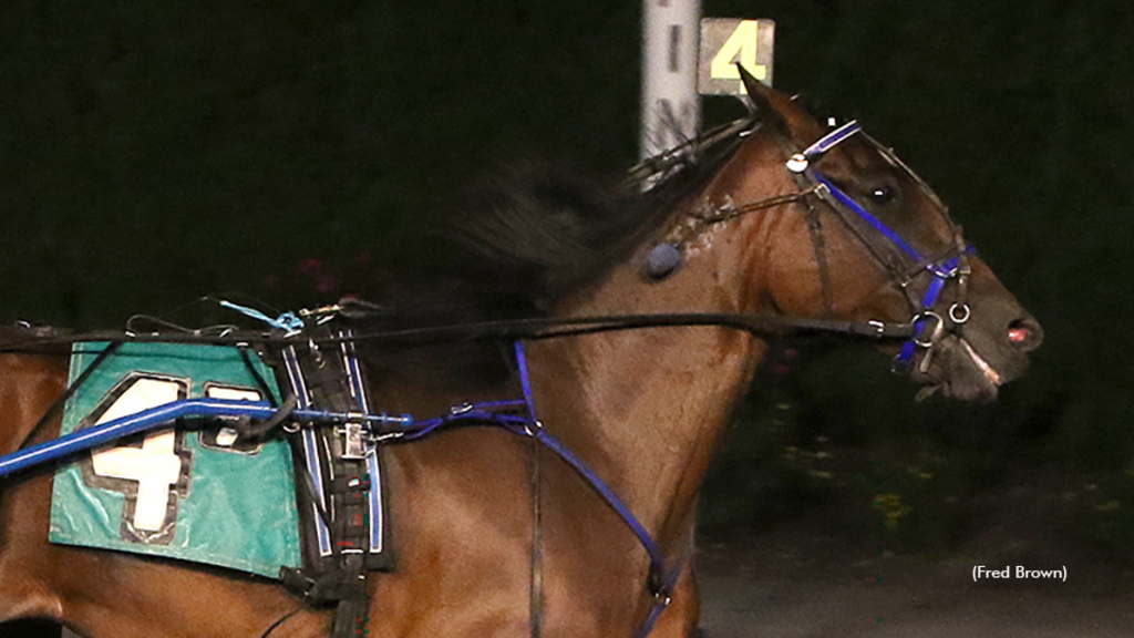 Alta Madeira N winning at Tioga Downs