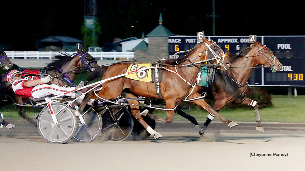 Birch Island Betty winning at Saratoga Raceway