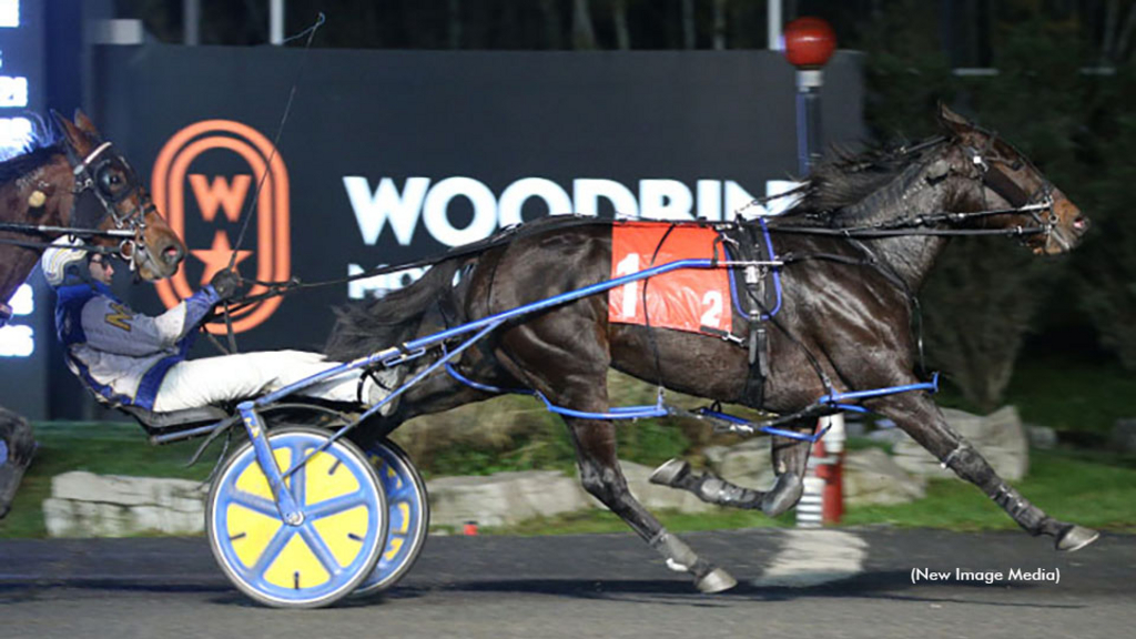 Gias Surreal winning at Woodbine Mohawk Park